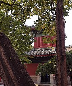2023 11 PEKIN - 2 TEMPLE DE LA LONGEVITE (5)